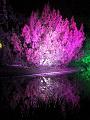 T-20151004-202410_IMG_8898-6a a